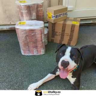 Takto vypadá štěstí po doručení pomoci! 📦🐾 Děkujeme všem, kteří pomohli naplnit misky v @utulektabor 💛 ➡️ Pomůžeš i ty?...
