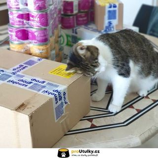 Takhle vypadá čistá radost z doručení 📦😻 @kocici_domov_sissi děkuje za každou dobrotu, která dělá kočičí bříška plnější....