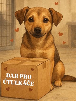 🐶 DAR PRO ÚTULKÁČE = plná bříška, vrtící se ocásky a pocit, že na ně někdo myslí. 🐾 Zima se blíží a právě teď je pomoc...