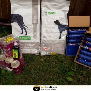 Každá miska znamená víc štěstí 🐕💛 Děkujeme, že pomáháte útulku Horský Holyland 🙏 👉 Podpořte pejsky – odkaz v BIO 💚...