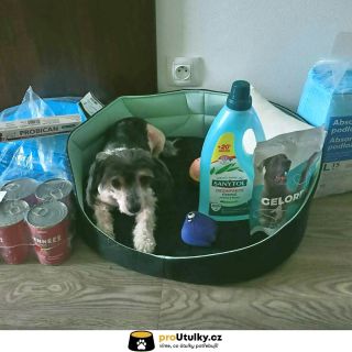 Ocas­ky vrtí, bříška jsou plná 💛 Díky vám mají pejskové i kočičky z @docaskydede důvod k radosti 🐶🐱 💌 Přidejte se k nám a...