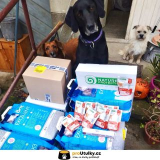 Děkujeme ze srdce, že pomáháte chlupáčům ze @spolek_stistko 🐶💛 Každá plná miska pro ně znamená víc, než si dokážete...