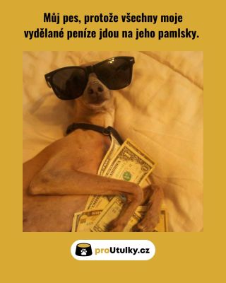 Naši miláčci mají všechno, co potřebují. Pomozme i těm, kteří ještě nemají nikoho? Alespoň naplněním mističky… 👉 Odkaz na...