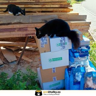 Společně dokážeme zázraky. 💛 Děkujeme všem, kteří pomohli @spolecnesrdcemprozvirata Každá miska, každá konzerva, každý...