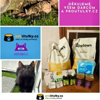Děkujeme za Vaši podporu pro @kocicimiskazs ! 🐱💛 Společně dokážeme velké věci pro malé tlapky. ➡️ Pomoci můžete přes odkaz...