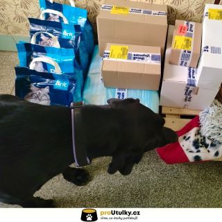 Děkujeme, že spolu plníme mističky! 🐶💛 Tentokrát jsme pomohli chlupatým duším ze @spolek_stistko 💚 👉 Přidej se taky –...