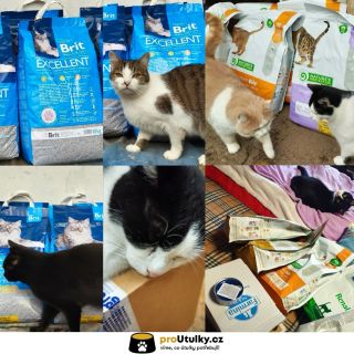 Každá miska pro kočičky z @z.s.kockysobe má svou váhu. 🐱 Děkujeme, že na ně myslíte. 💛 👉 Vaše podpora může pokračovat přes...