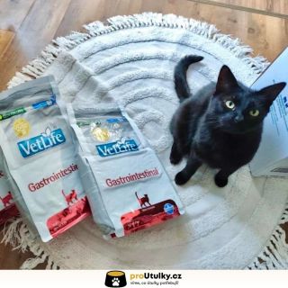Velké díky všem, kteří pomáhají plnit misky tam, kde je to nejvíc potřeba 🤍🐾 Díky vám mají kočky z HandicapCats, z.s. co...