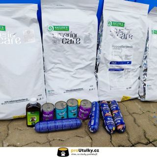 DĚKUJEME 💛 Díky vám mohli pejsci v HAFO Naděje dostat plné misky 🥣🐶 👉 Pomáhat společně s námi můžeš i ty – link v biu 🐾